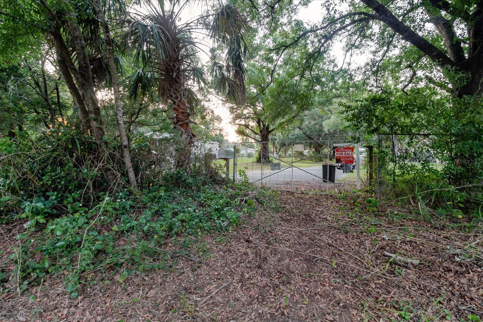 11152 GALAXY LN, THONOTOSASSA, FL — photo 59