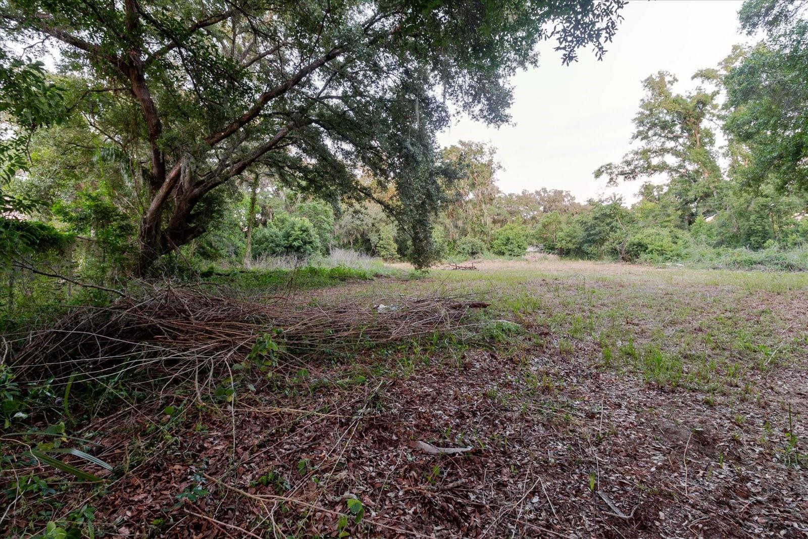 11152 GALAXY LN, THONOTOSASSA, FL — photo 61