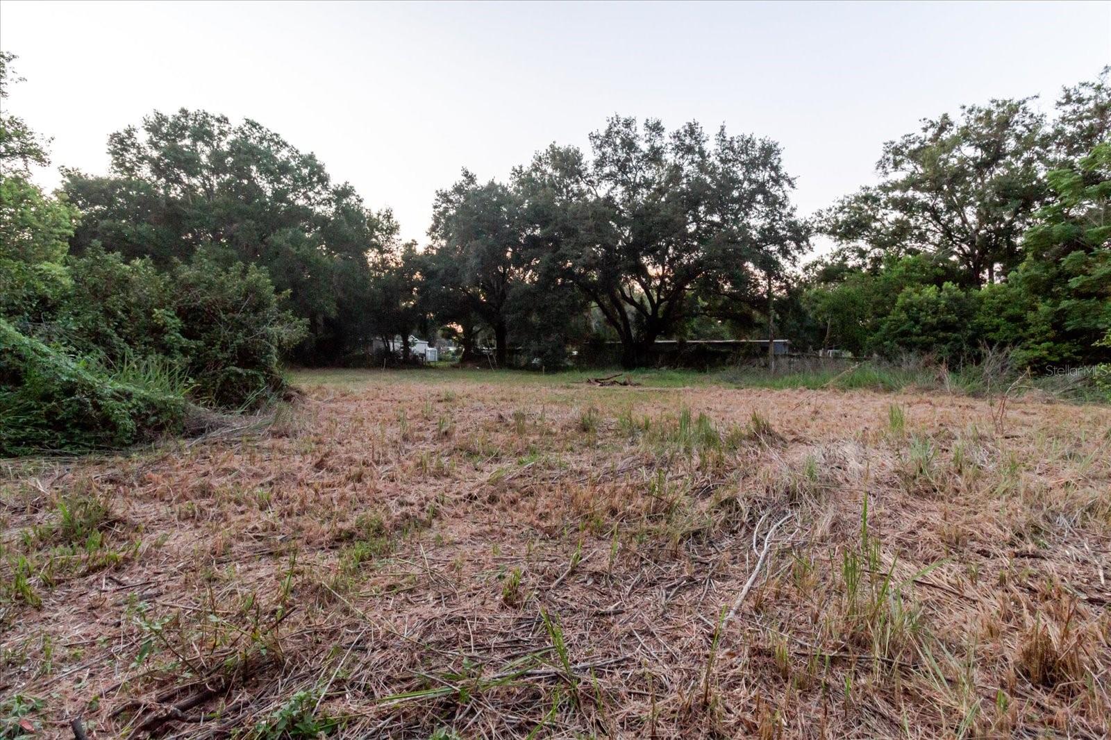 11152 GALAXY LN, THONOTOSASSA, FL — photo 67