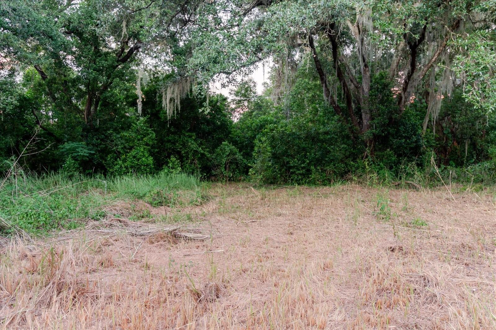 11152 GALAXY LN, THONOTOSASSA, FL — photo 70