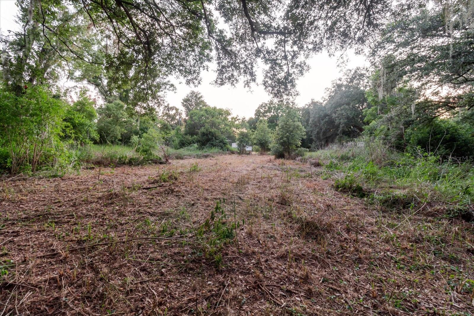 11152 GALAXY LN, THONOTOSASSA, FL — photo 71