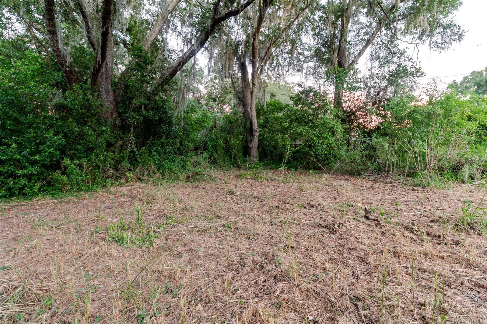 11152 GALAXY LN, THONOTOSASSA, FL — photo 72