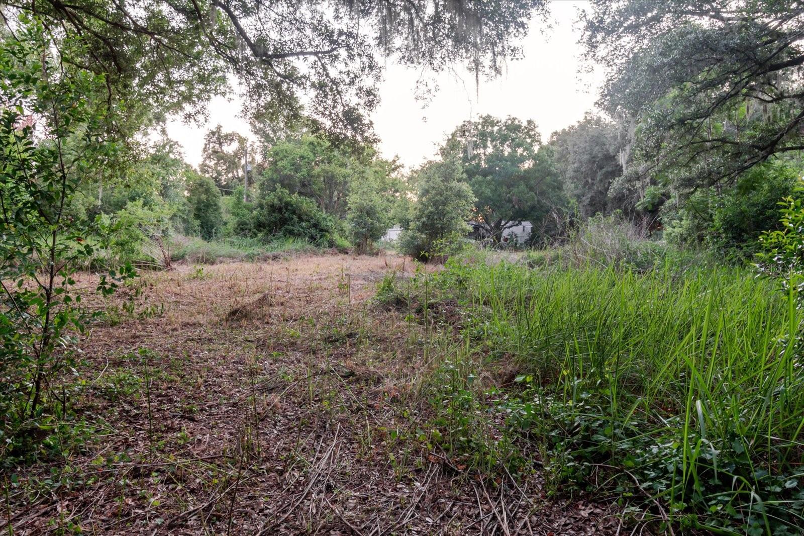 11152 GALAXY LN, THONOTOSASSA, FL — photo 75