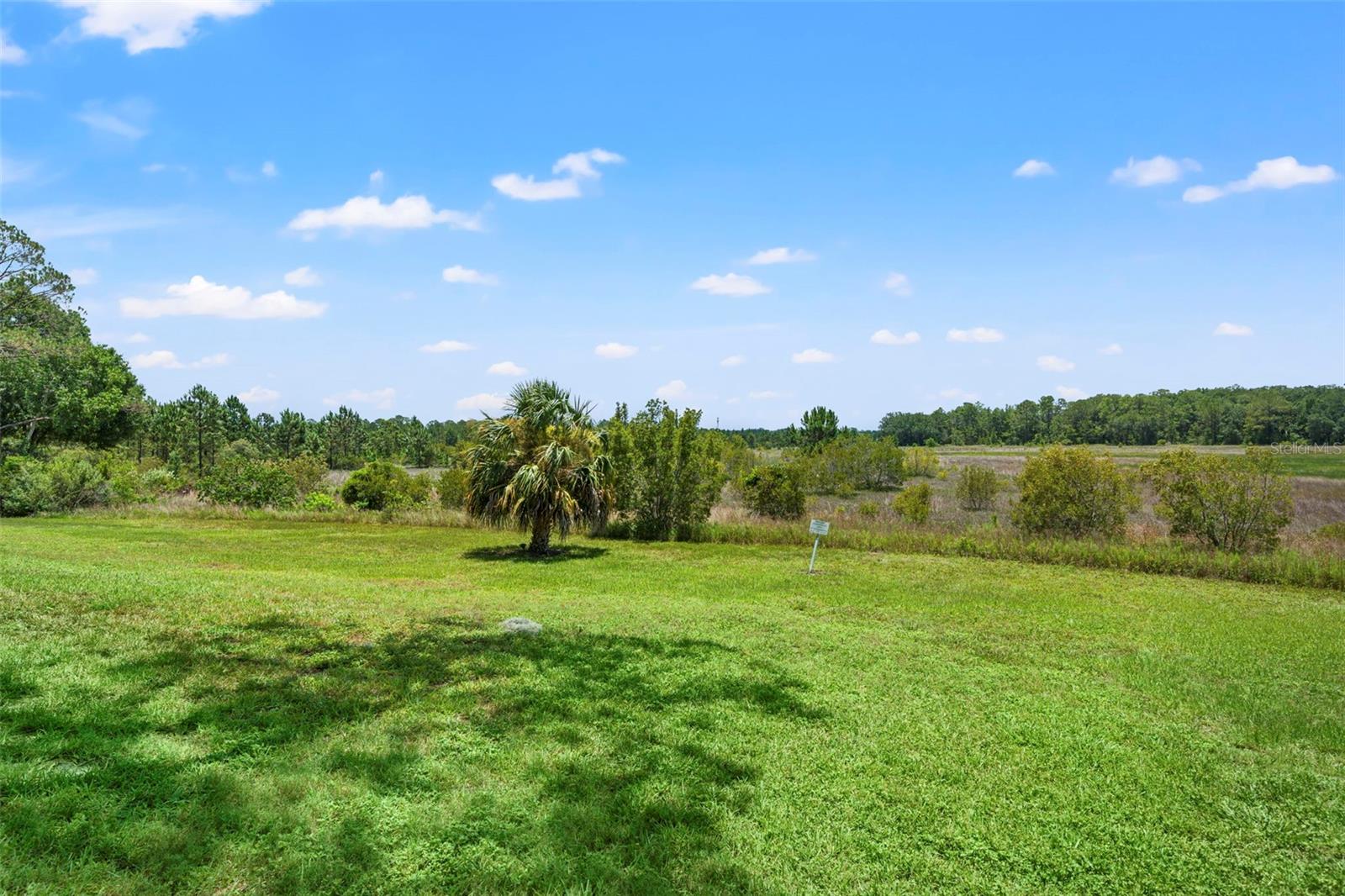 6410 NATURE PRESERVE LN, SPRING HILL, FL — photo 38