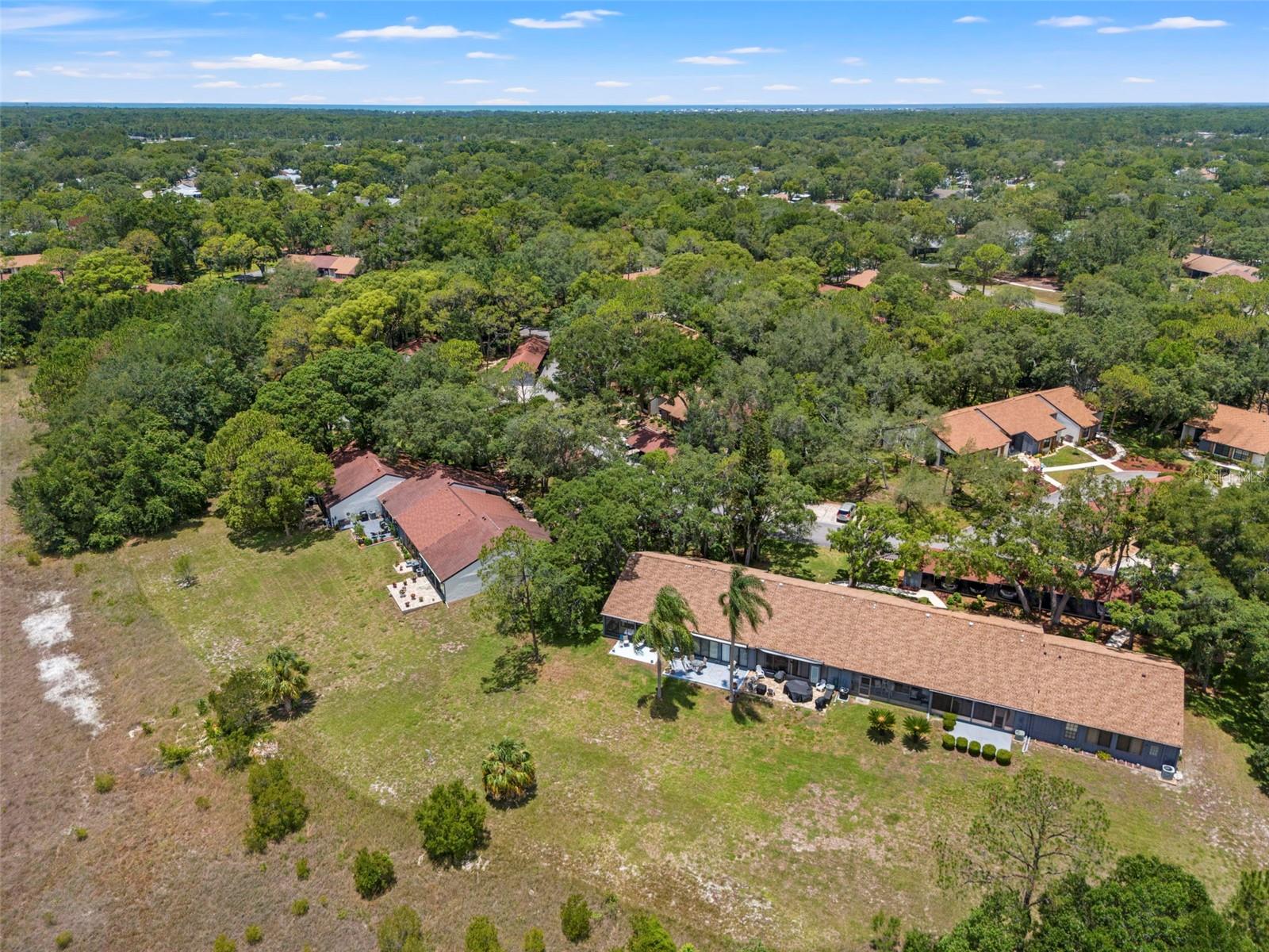 6410 NATURE PRESERVE LN, SPRING HILL, FL — photo 42