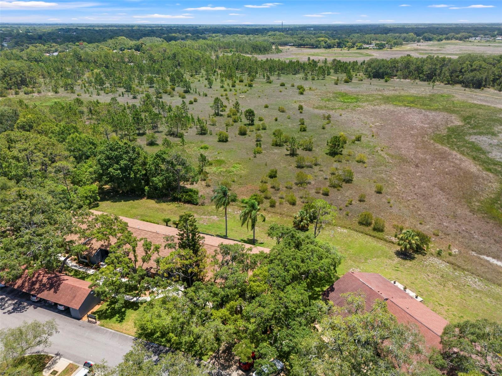 6410 NATURE PRESERVE LN, SPRING HILL, FL — photo 45