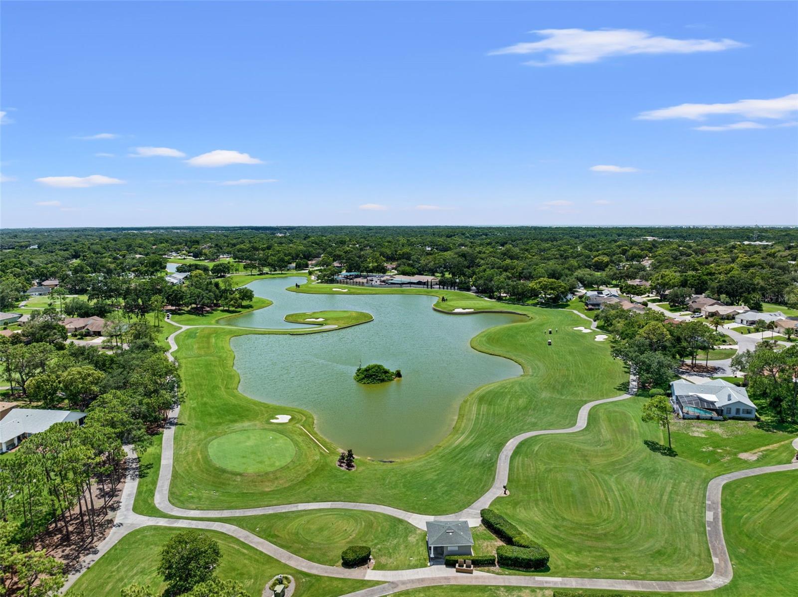 6410 NATURE PRESERVE LN, SPRING HILL, FL — photo 48