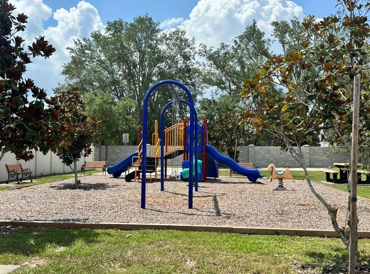 12113 VIA CASELLI LN, WINDERMERE, FL — photo 35
