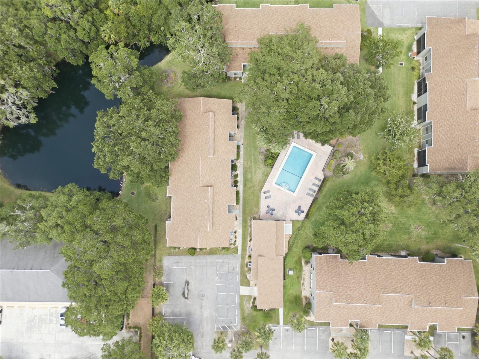 314 PALM COAST PKWY NE #202, PALM COAST, FL — photo 23
