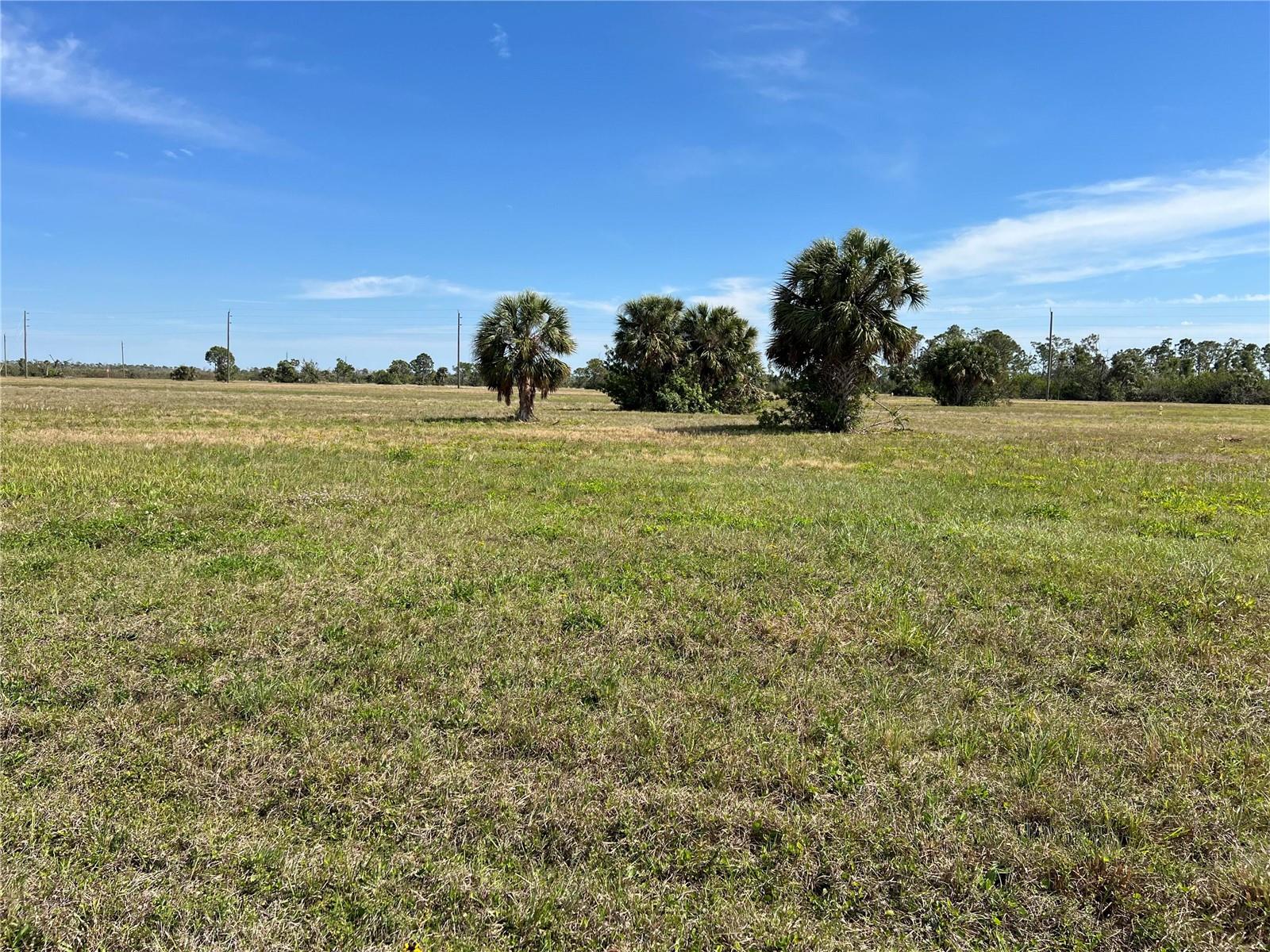 12376 GREENLING WAY, PLACIDA, FL — photo 6