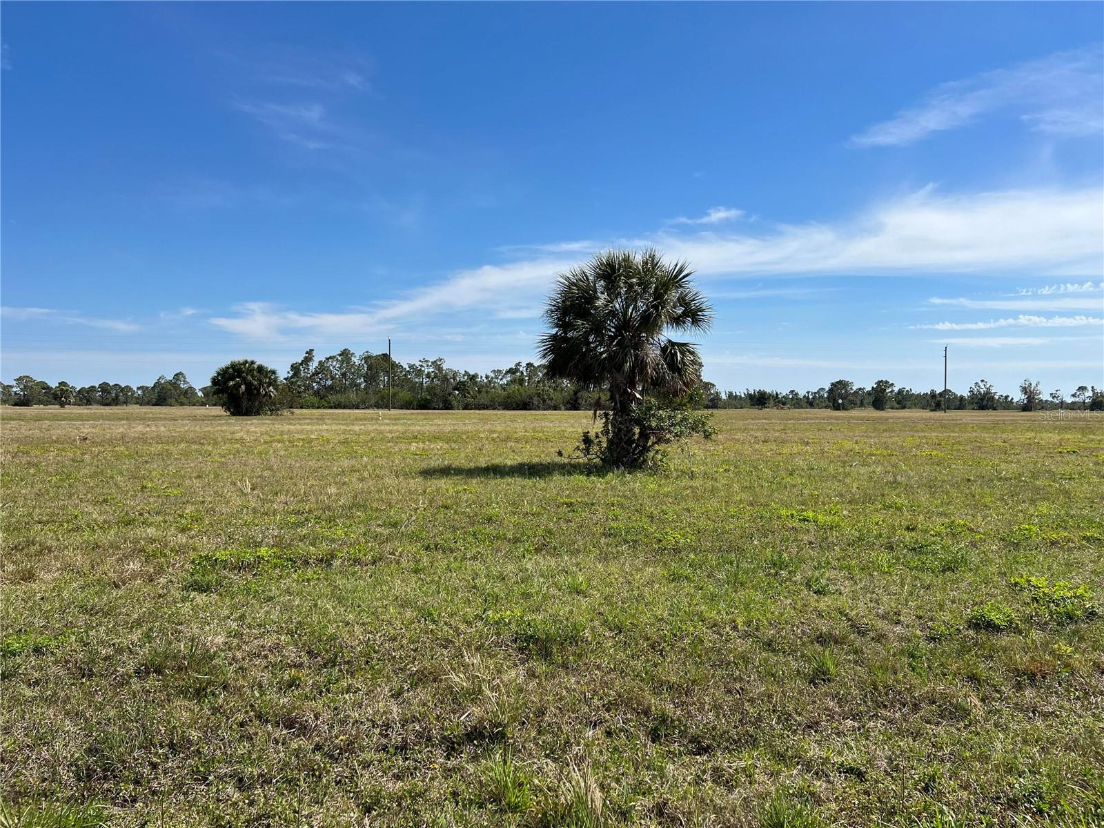 12376 GREENLING WAY, PLACIDA, FL — photo 7