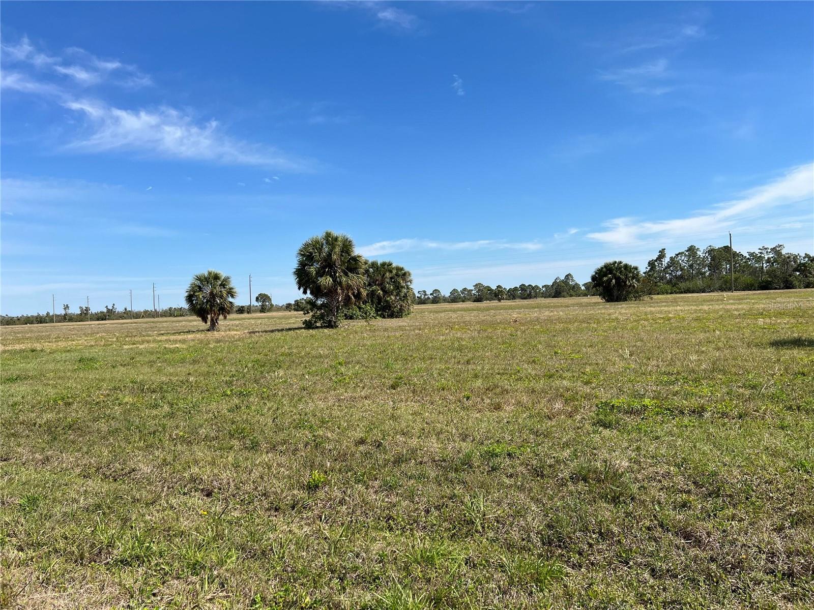 12376 GREENLING WAY, PLACIDA, FL — photo 8