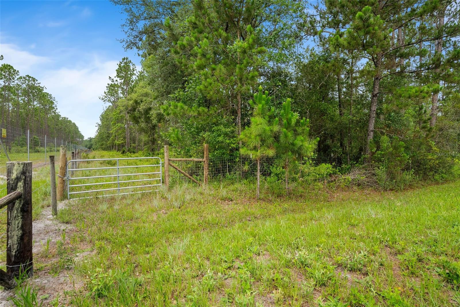 TBD RETREAT RD, KEYSTONE HEIGHTS, FL — photo 17