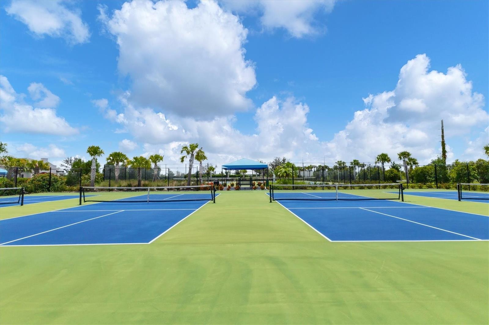 2321 BLUE MAHOE LN, SARASOTA, FL — photo 49