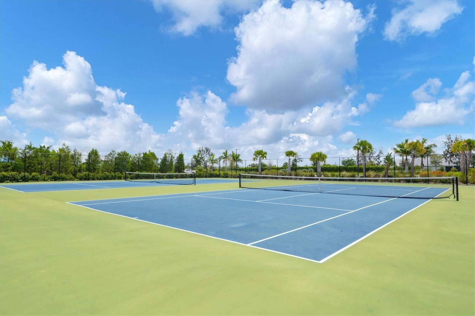 2321 BLUE MAHOE LN, SARASOTA, FL — photo 50