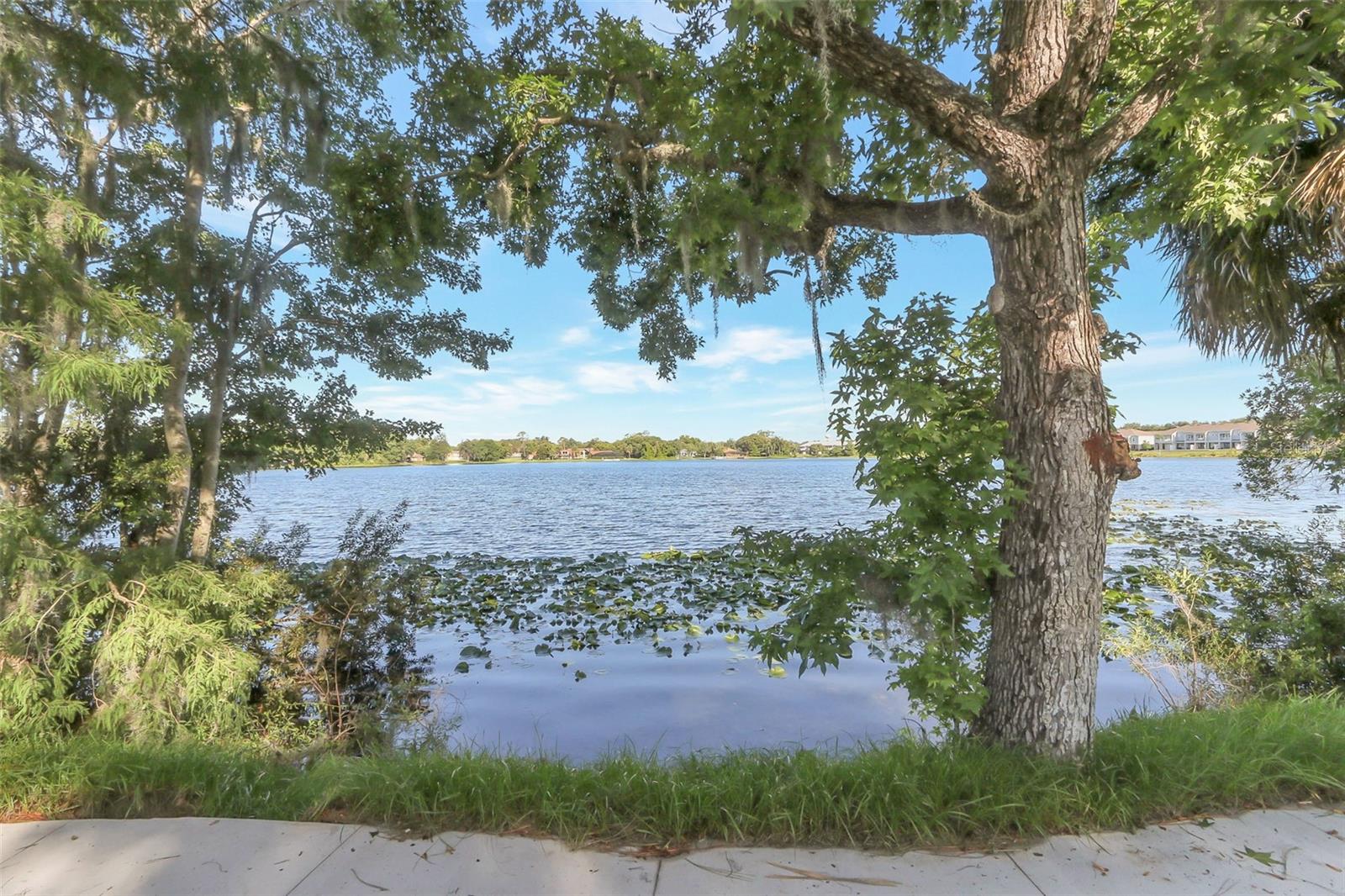 923 OXFORD ST, LONGWOOD, FL — photo 10