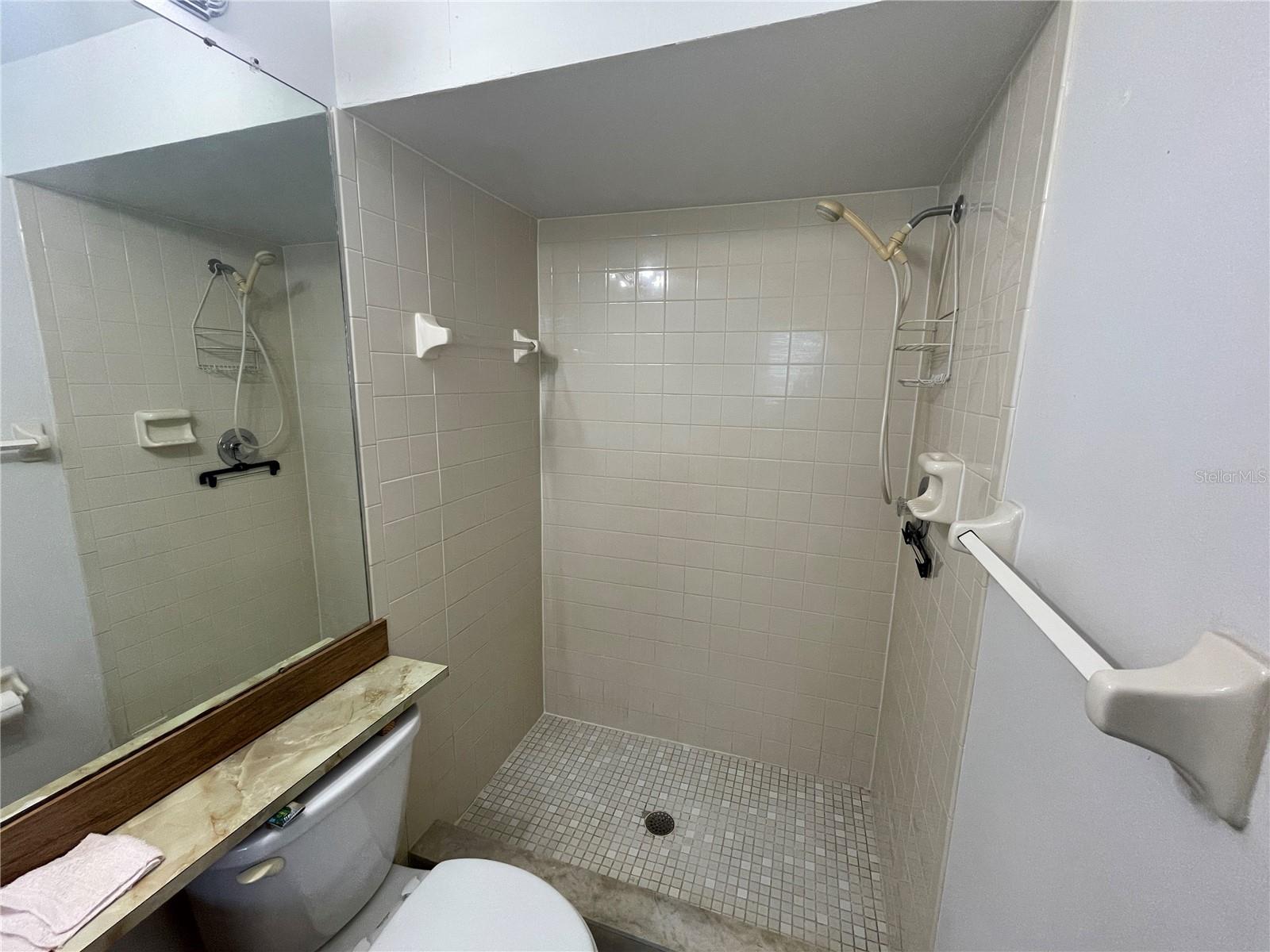 11001 SUNSWEPT PL, TAMPA, FL — photo 17