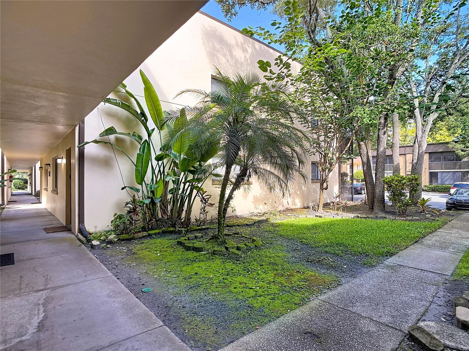 11805 RAINTREE LAKE LN #B, TEMPLE TERRACE, FL — photo 3