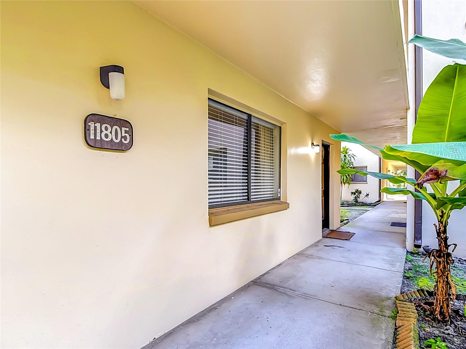 11805 RAINTREE LAKE LN #B, TEMPLE TERRACE, FL — photo 4