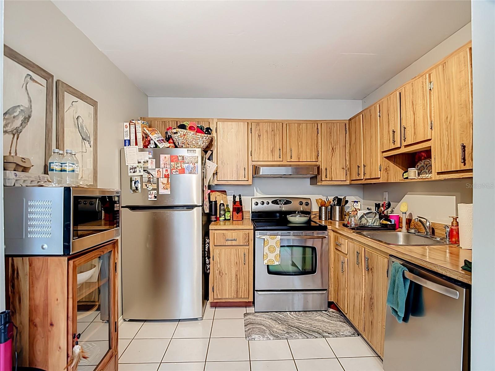 11805 RAINTREE LAKE LN #B, TEMPLE TERRACE, FL — photo 16