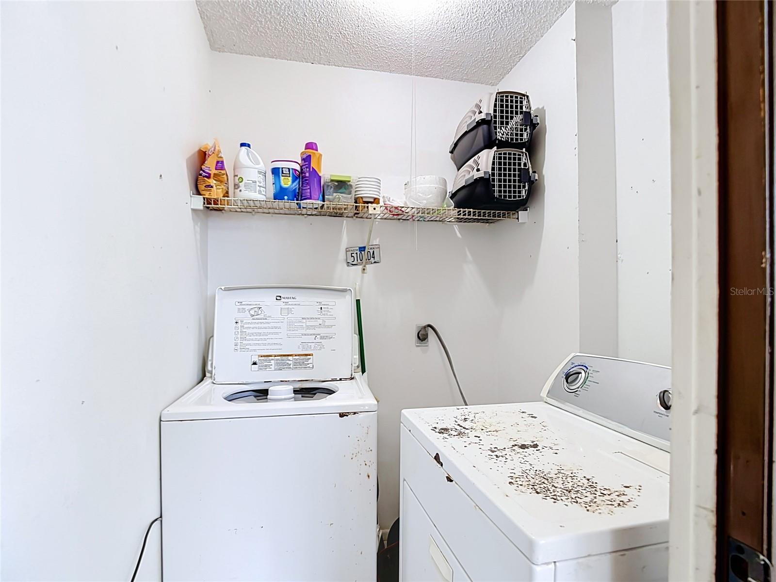 11805 RAINTREE LAKE LN #B, TEMPLE TERRACE, FL — photo 27