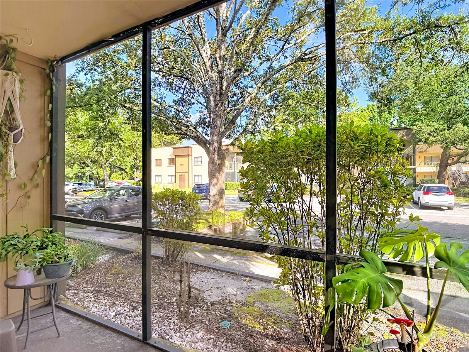 11805 RAINTREE LAKE LN #B, TEMPLE TERRACE, FL — photo 31