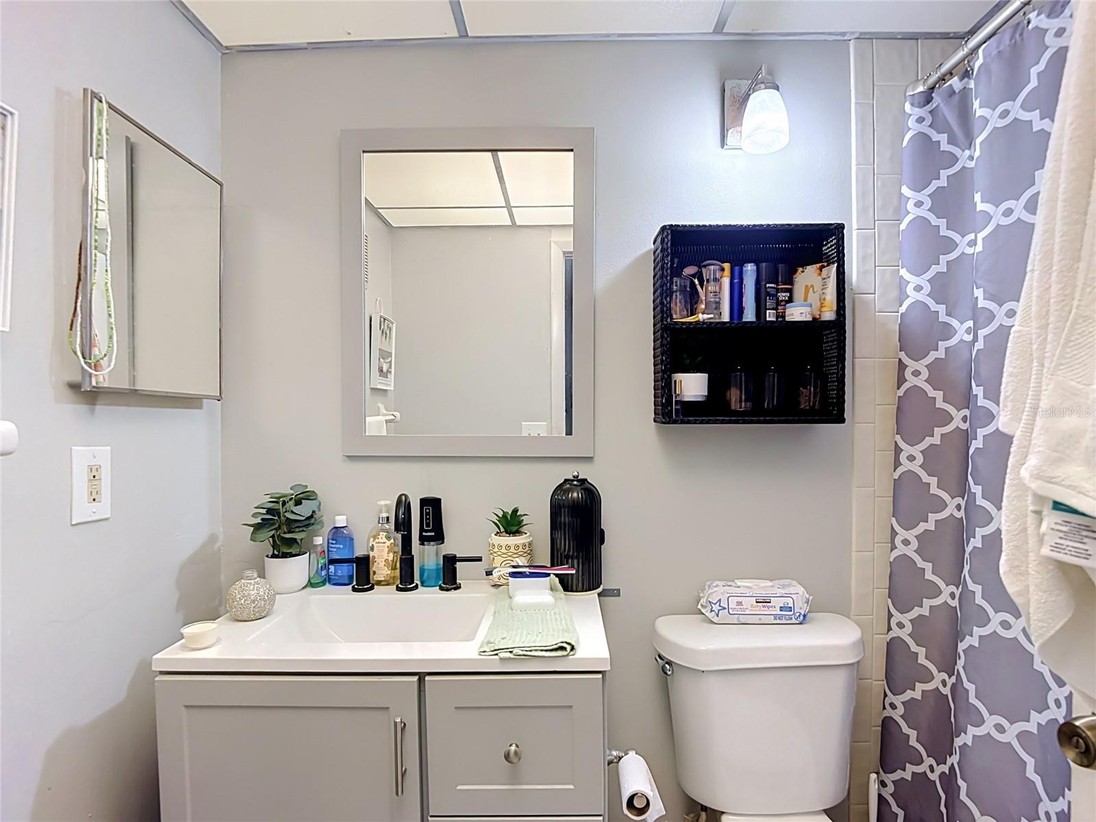 11805 RAINTREE LAKE LN #D, TEMPLE TERRACE, FL — photo 25