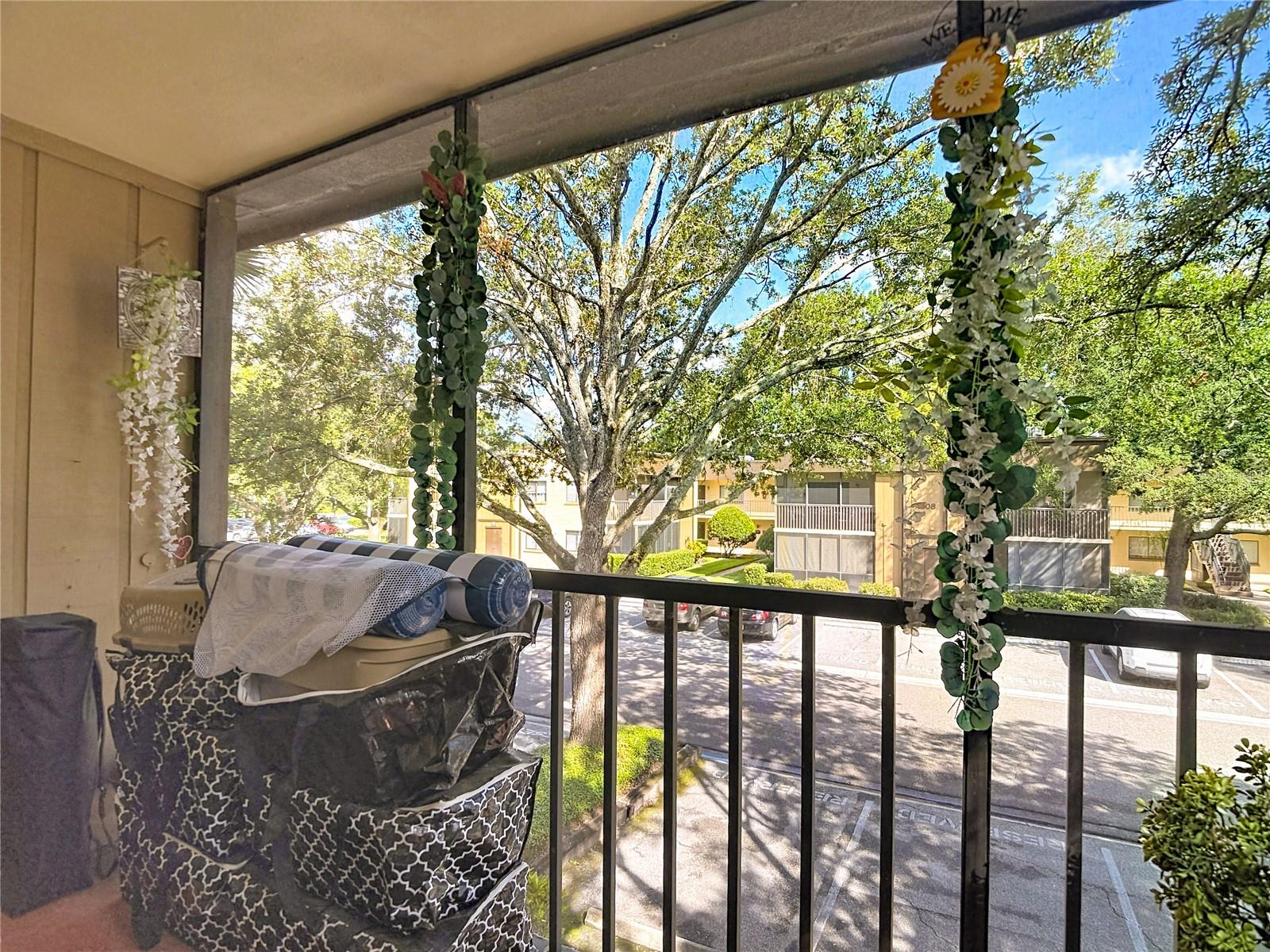 11805 RAINTREE LAKE LN #D, TEMPLE TERRACE, FL — photo 29