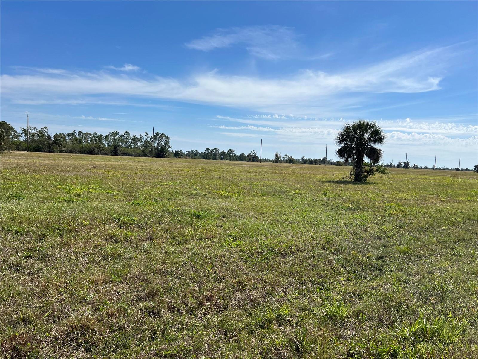 12368 GREENLING WAY, PLACIDA, FL — photo 3