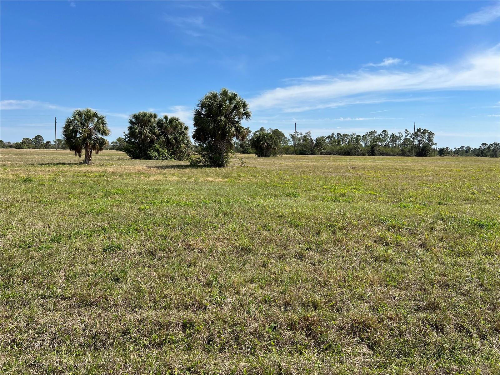 12368 GREENLING WAY, PLACIDA, FL — photo 4
