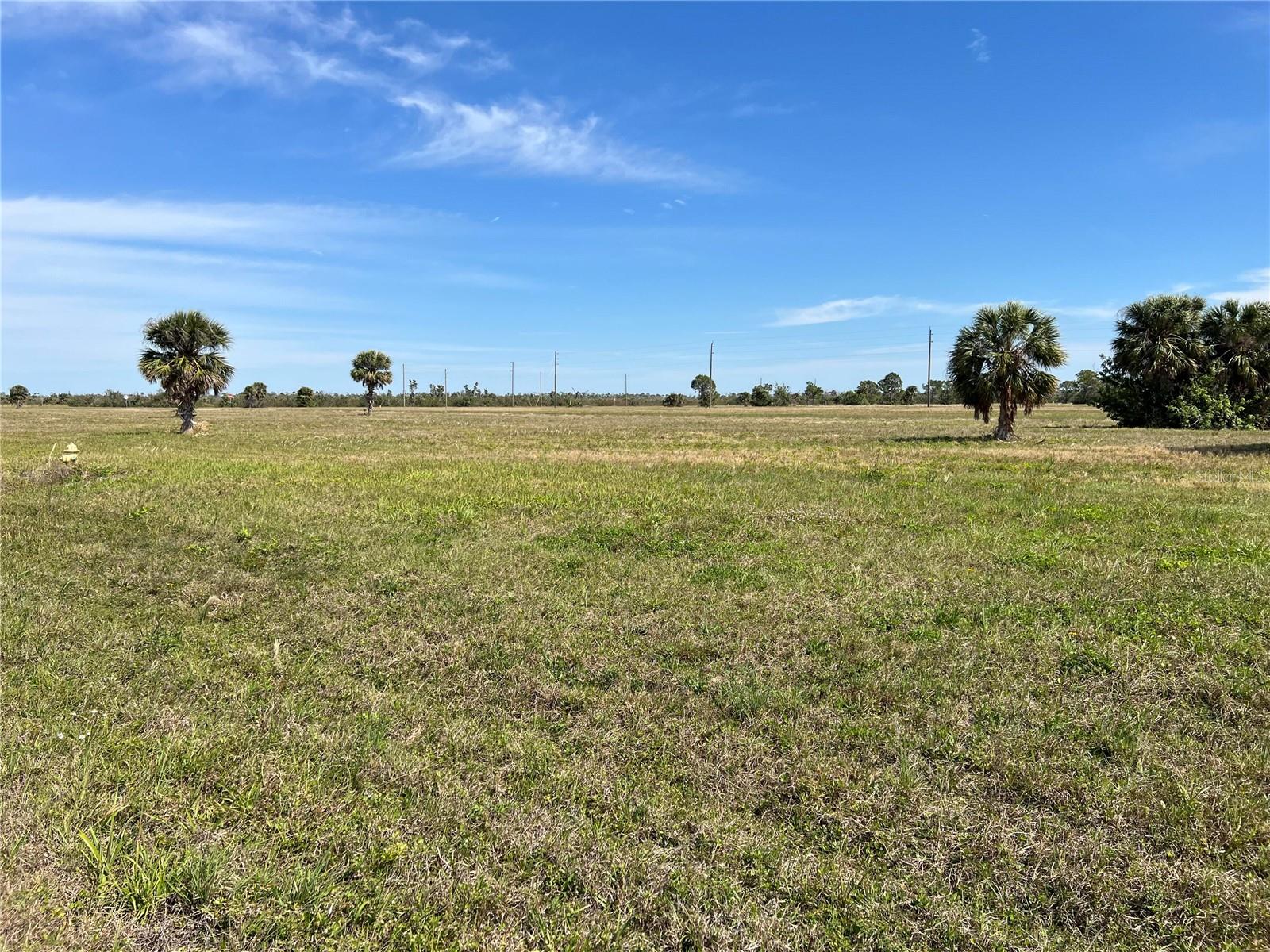 12368 GREENLING WAY, PLACIDA, FL — photo 5