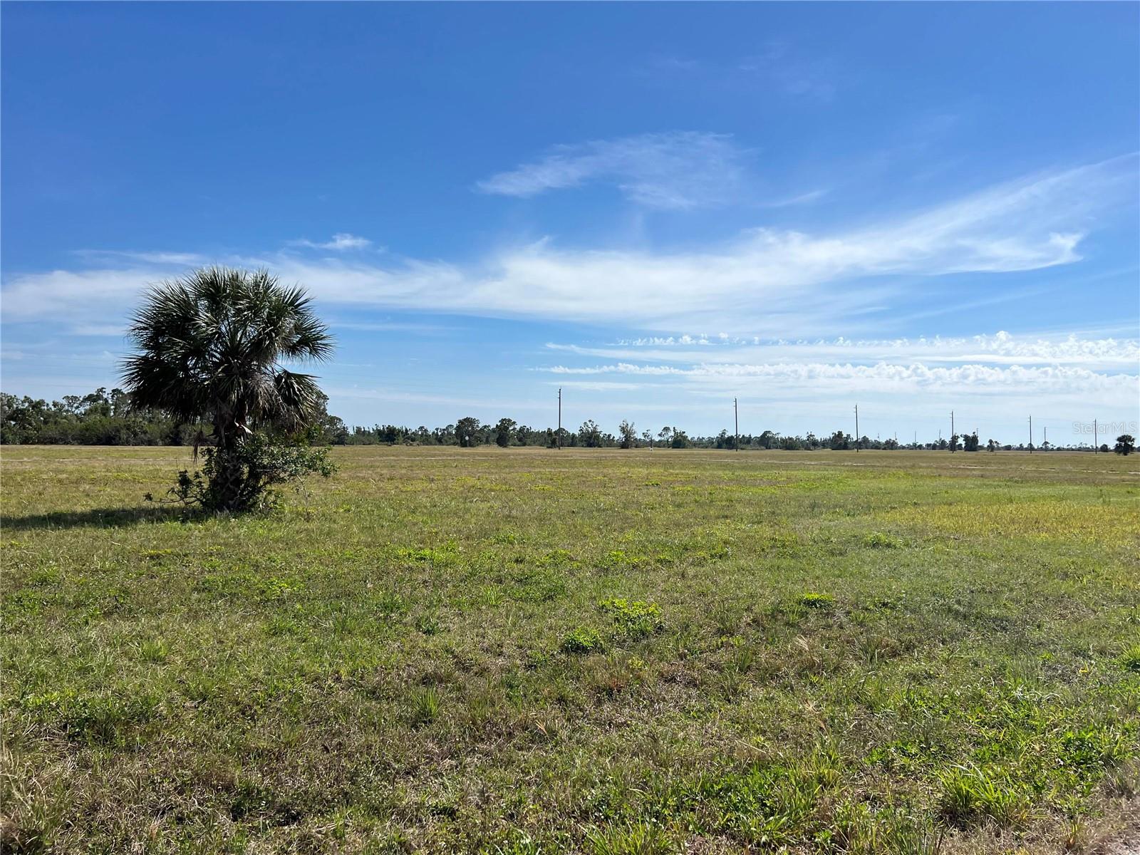 12368 GREENLING WAY, PLACIDA, FL — photo 6