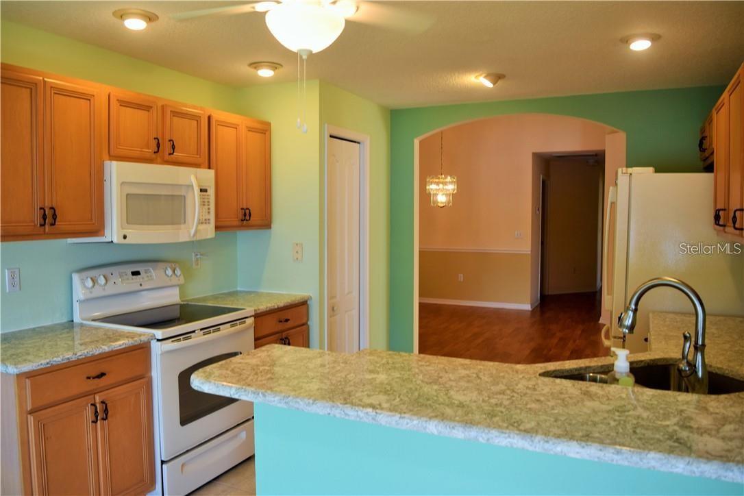 29530 WAGGLE DR, SAN ANTONIO, FL — photo 4