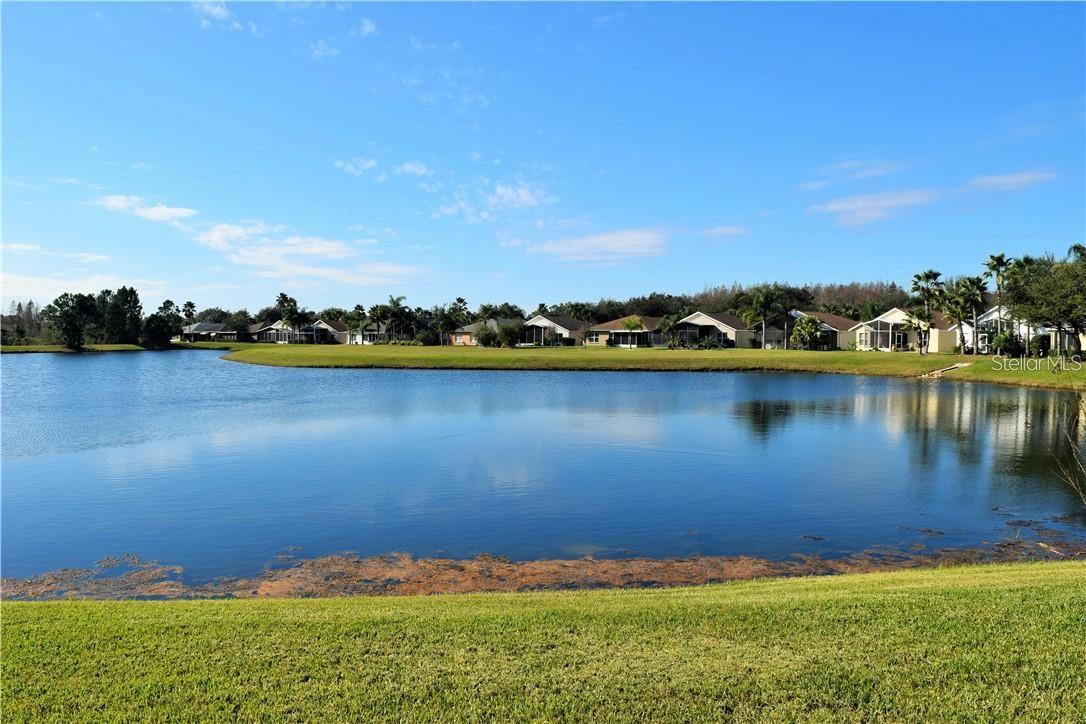 29530 WAGGLE DR, SAN ANTONIO, FL — photo 17