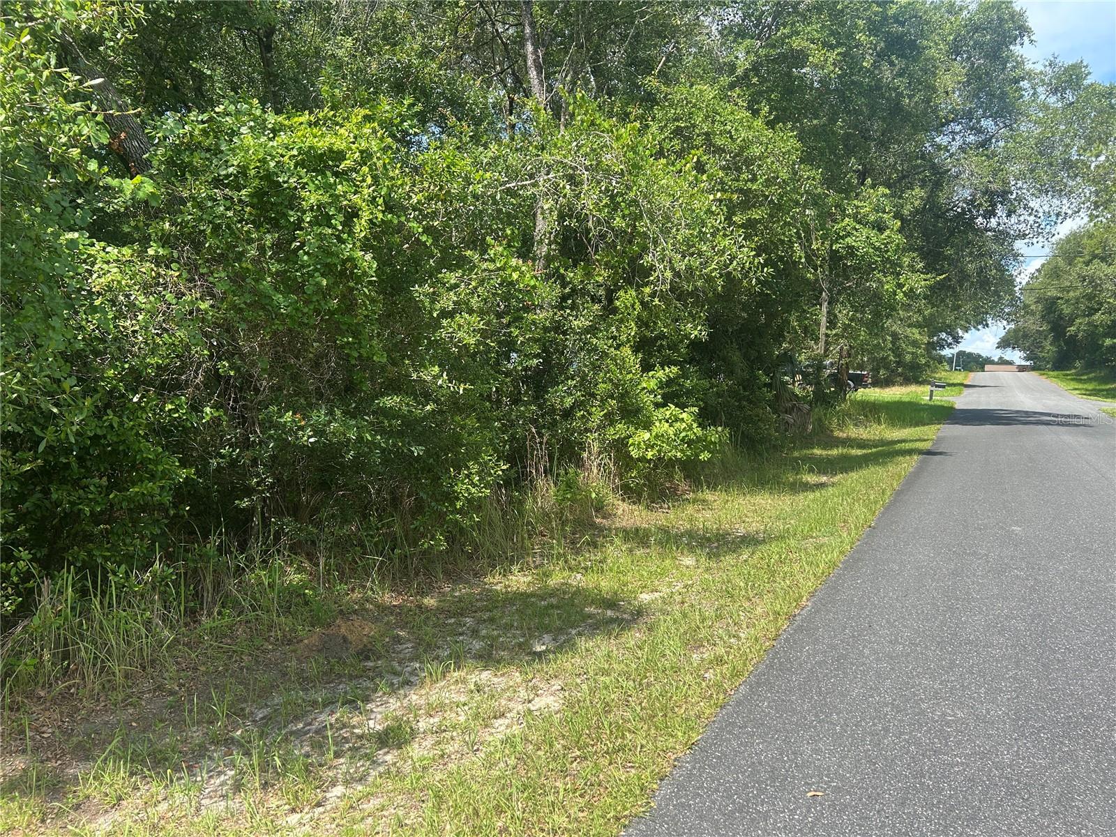 3118 E DEAL ST, INVERNESS, FL