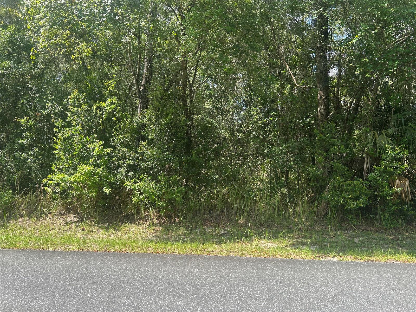 3118 E DEAL ST, INVERNESS, FL — photo 2