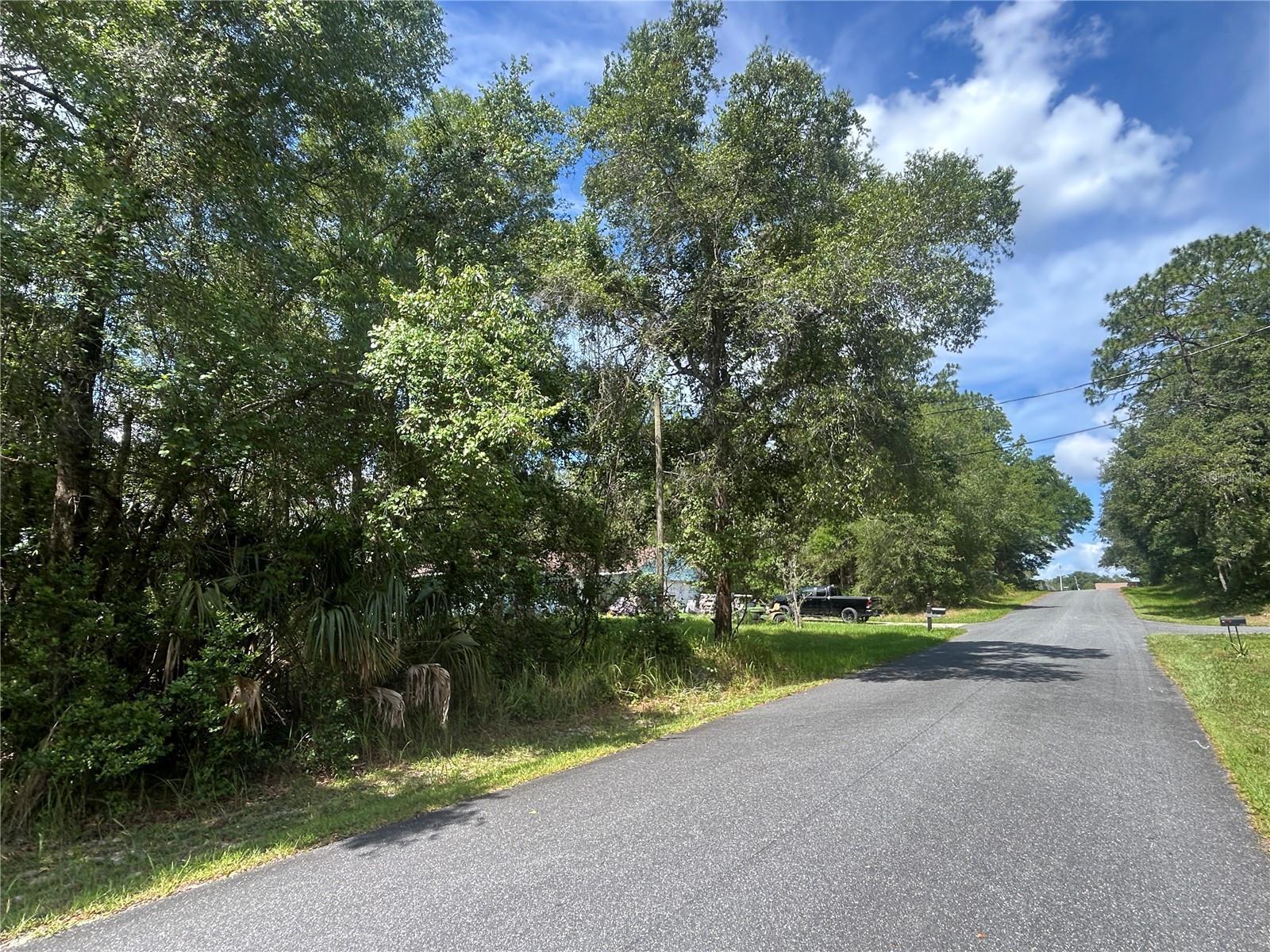 3118 E DEAL ST, INVERNESS, FL — photo 3