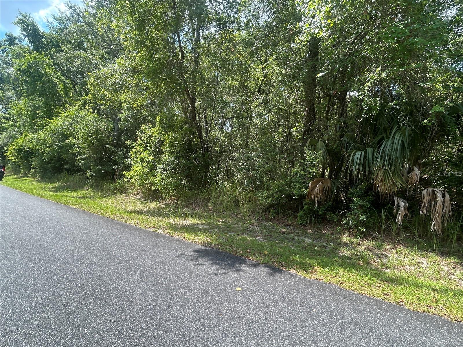 3118 E DEAL ST, INVERNESS, FL — photo 4