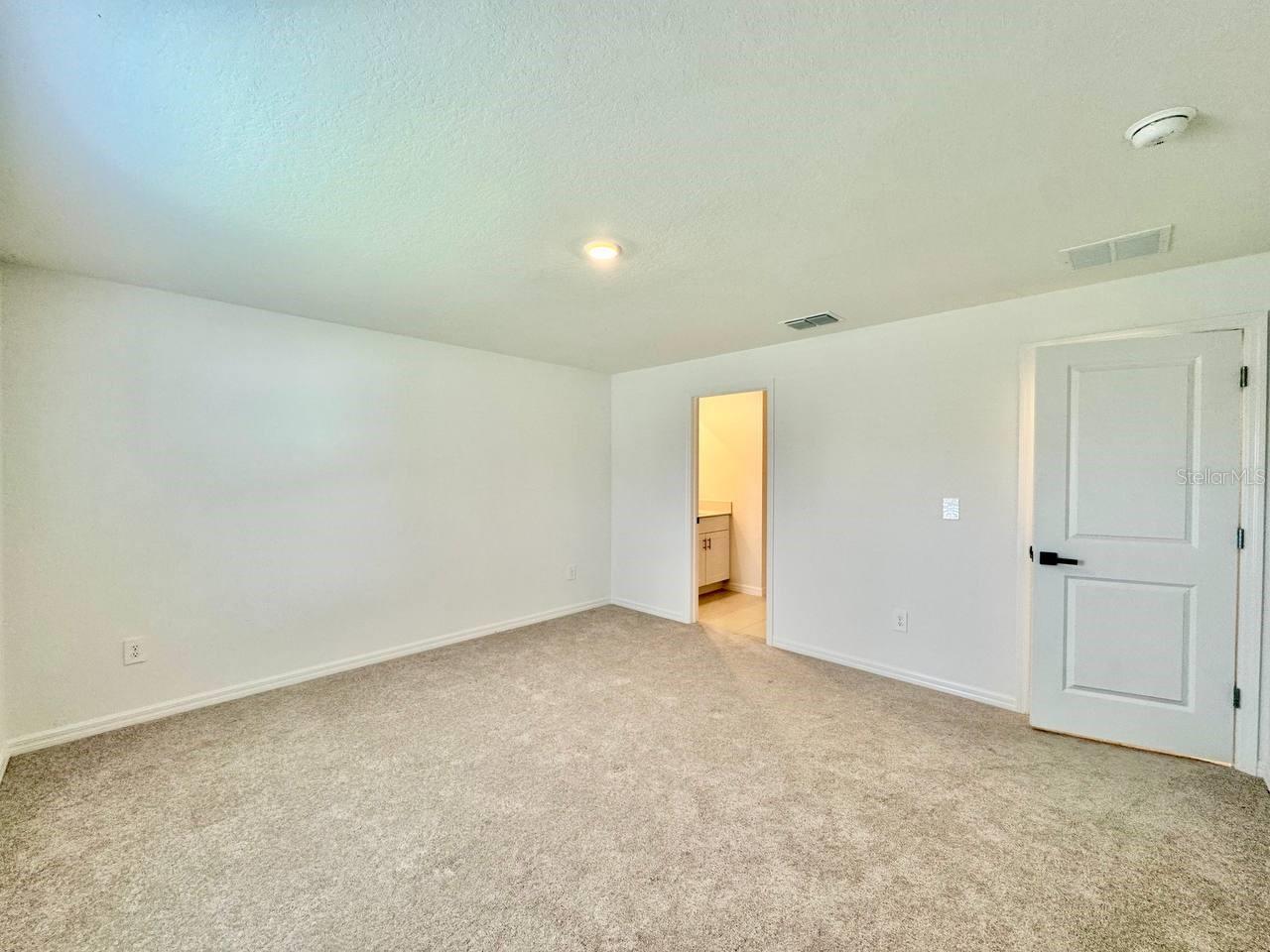 10275 PURPLE LEAF CT, RIVERVIEW, FL — photo 13