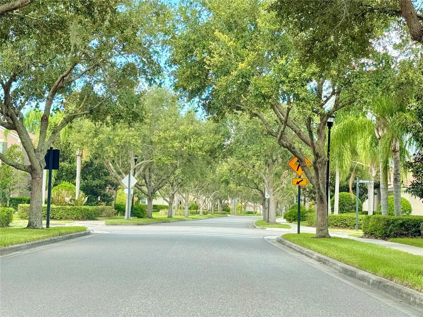 11848 ZELKOVA LN, ORLANDO, FL — photo 72