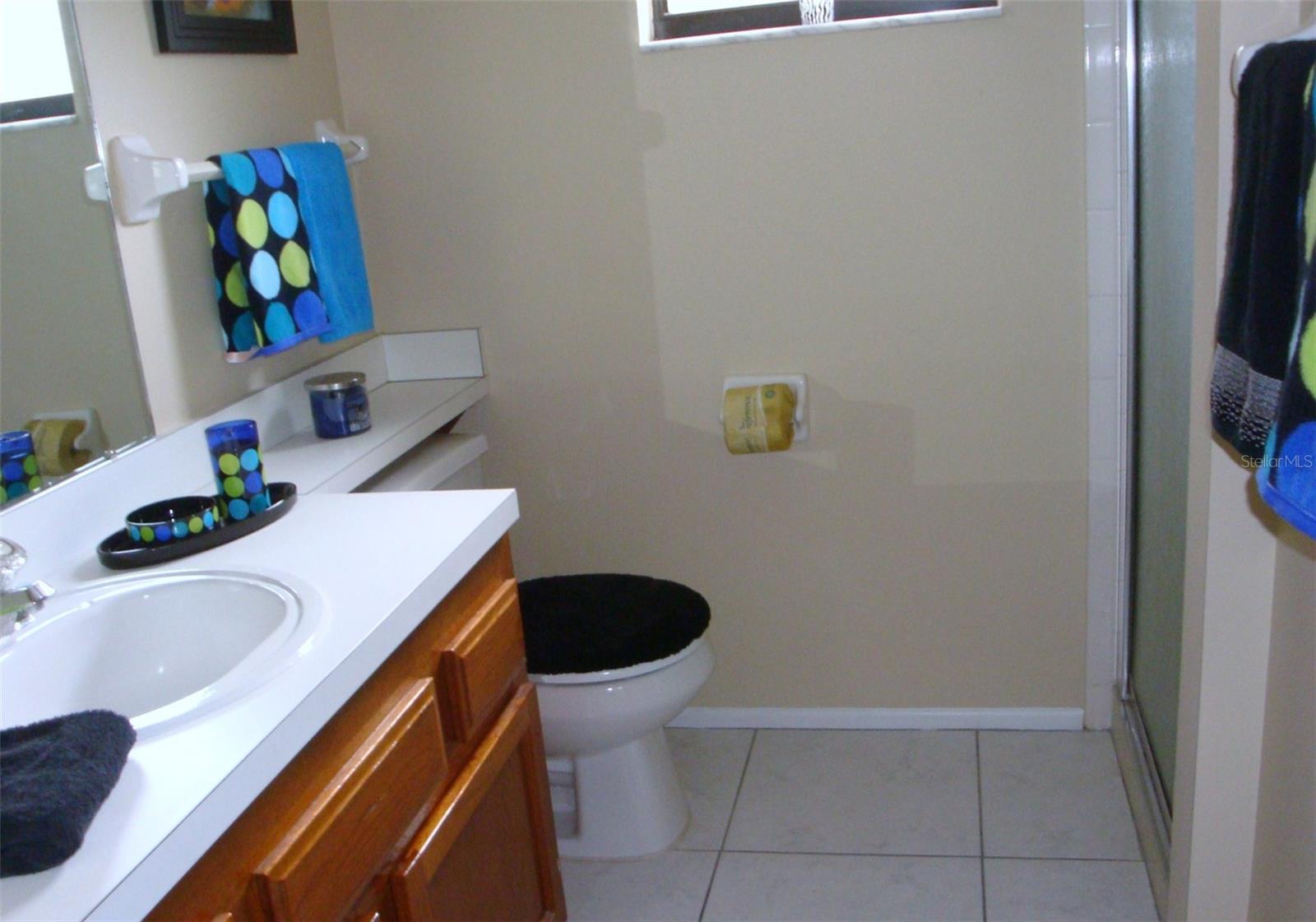 272 WOODLAKE WYNDE #272, OLDSMAR, FL — photo 14