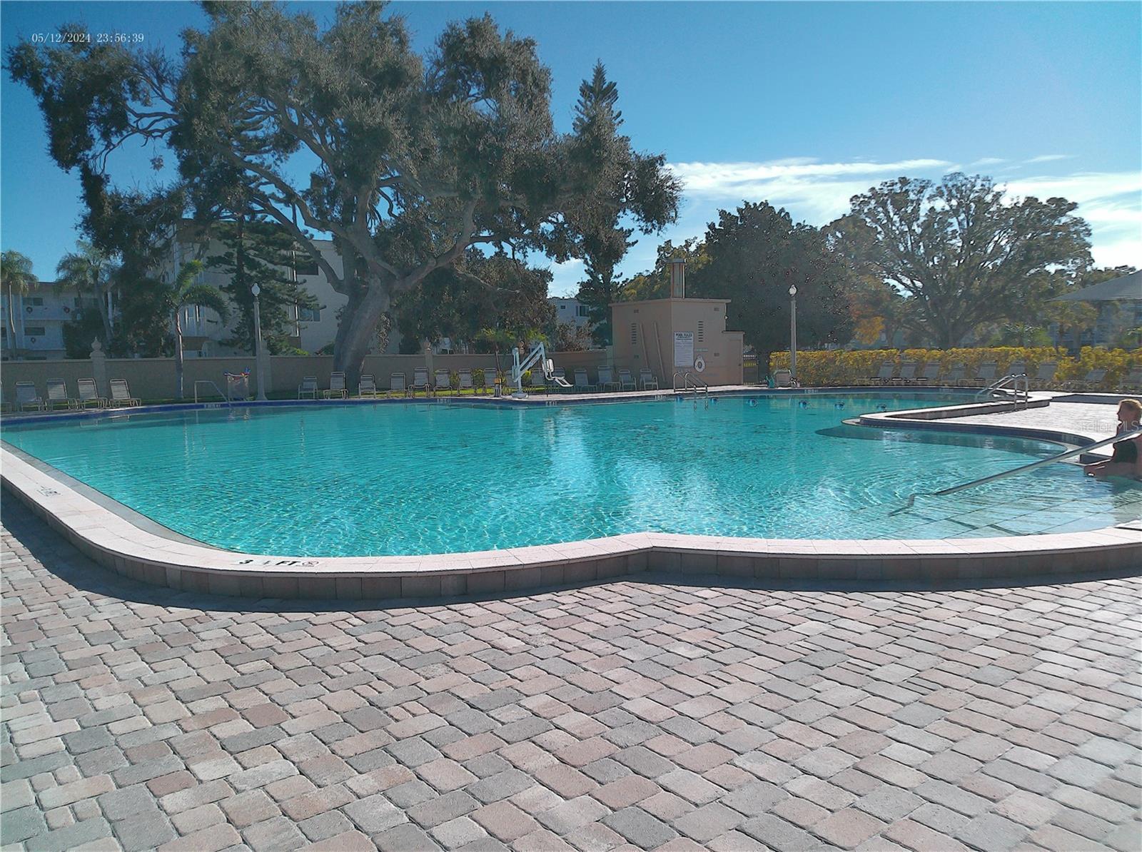 2457 ECUADORIAN WAY #73, CLEARWATER, FL — photo 52