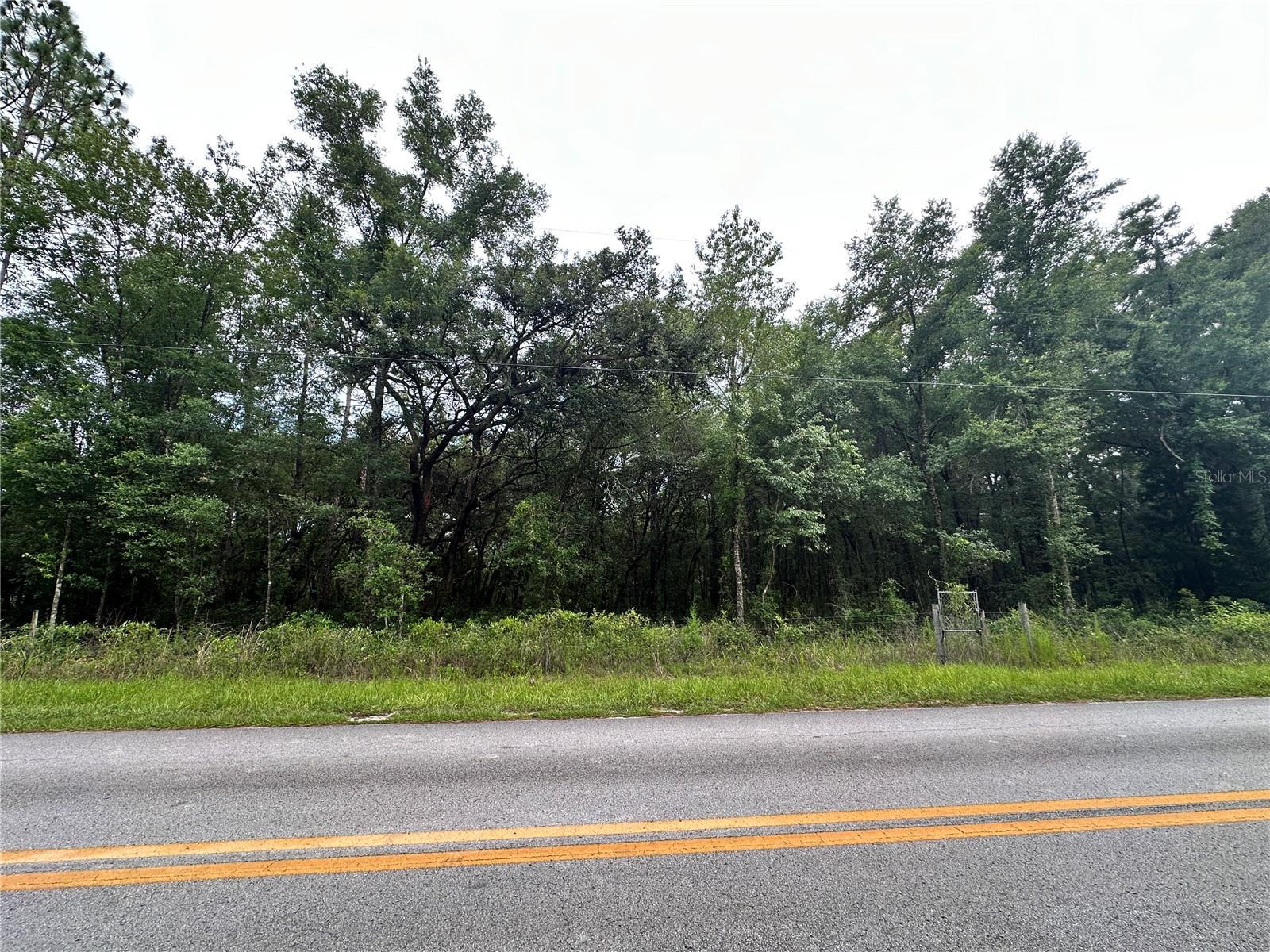 TBD NE 65TH LN, BRONSON, FL