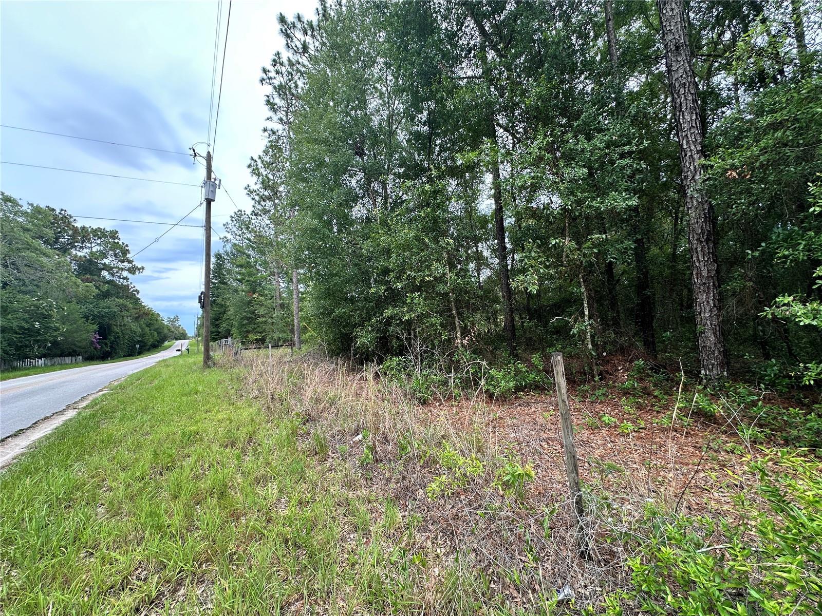TBD NE 65TH LN, BRONSON, FL — photo 3