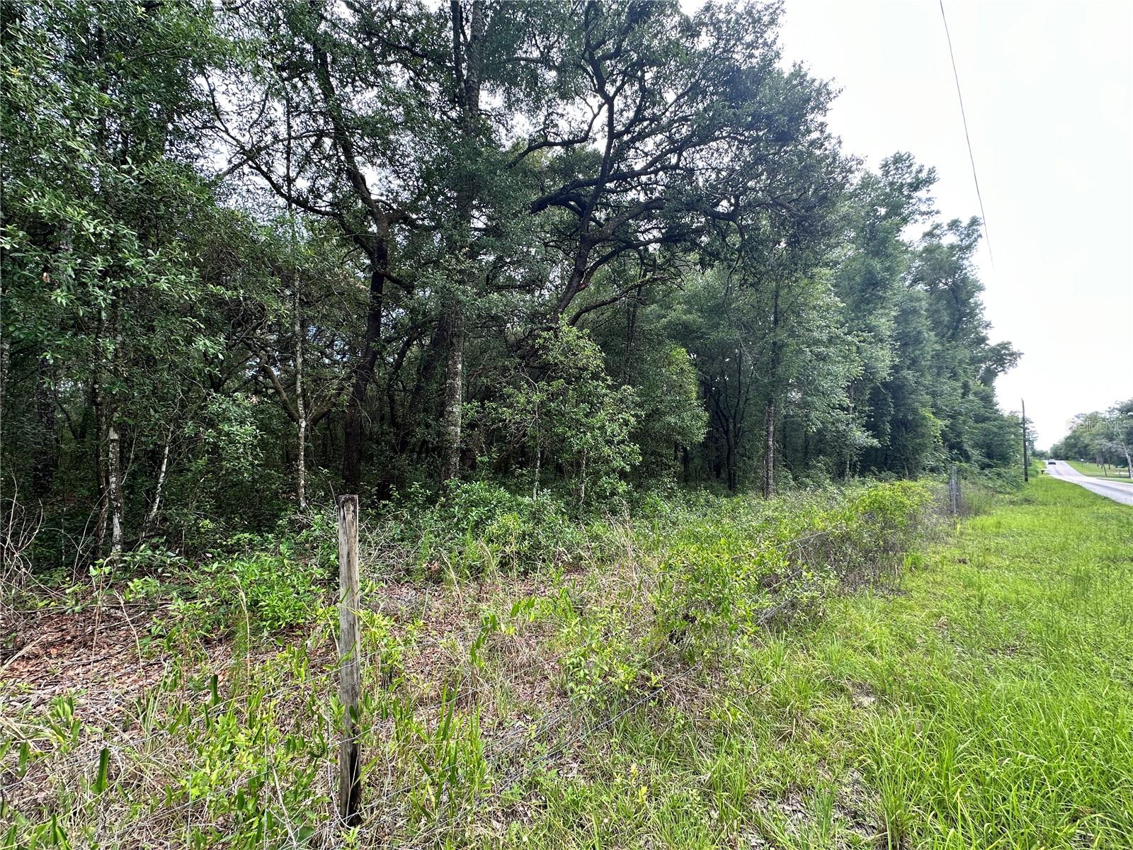 TBD NE 65TH LN, BRONSON, FL — photo 4
