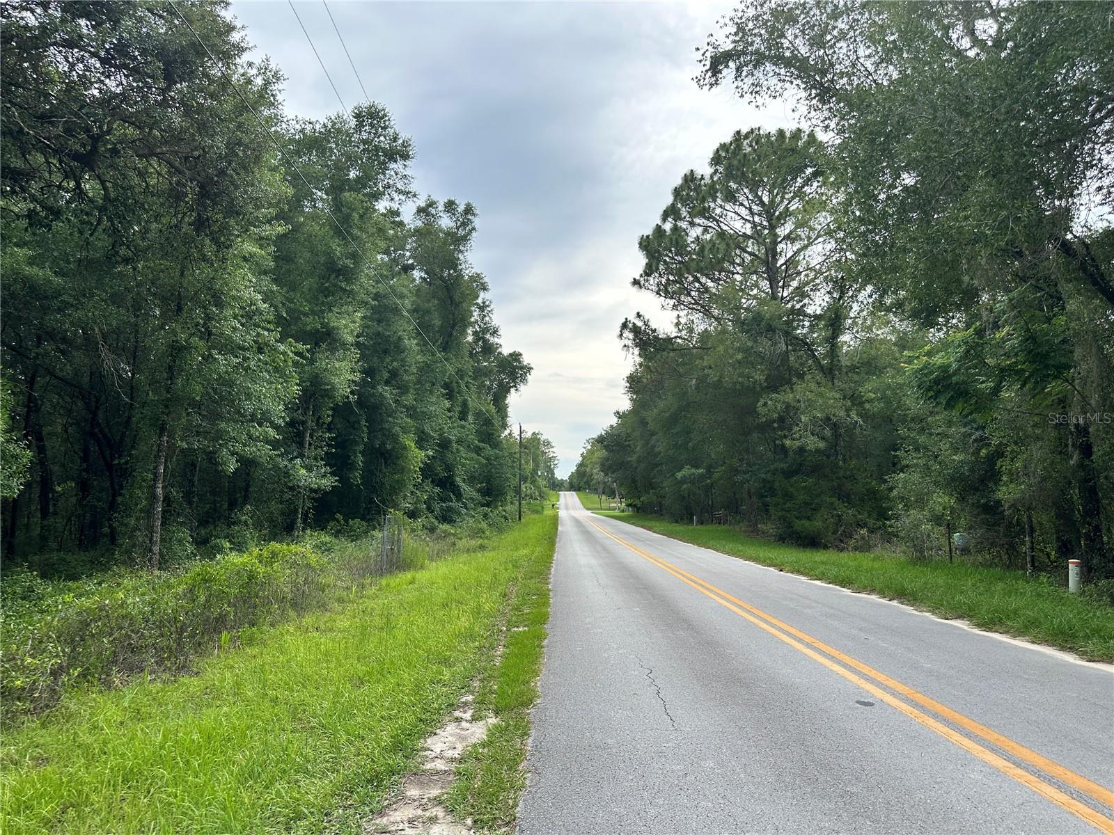 TBD NE 65TH LN, BRONSON, FL — photo 11