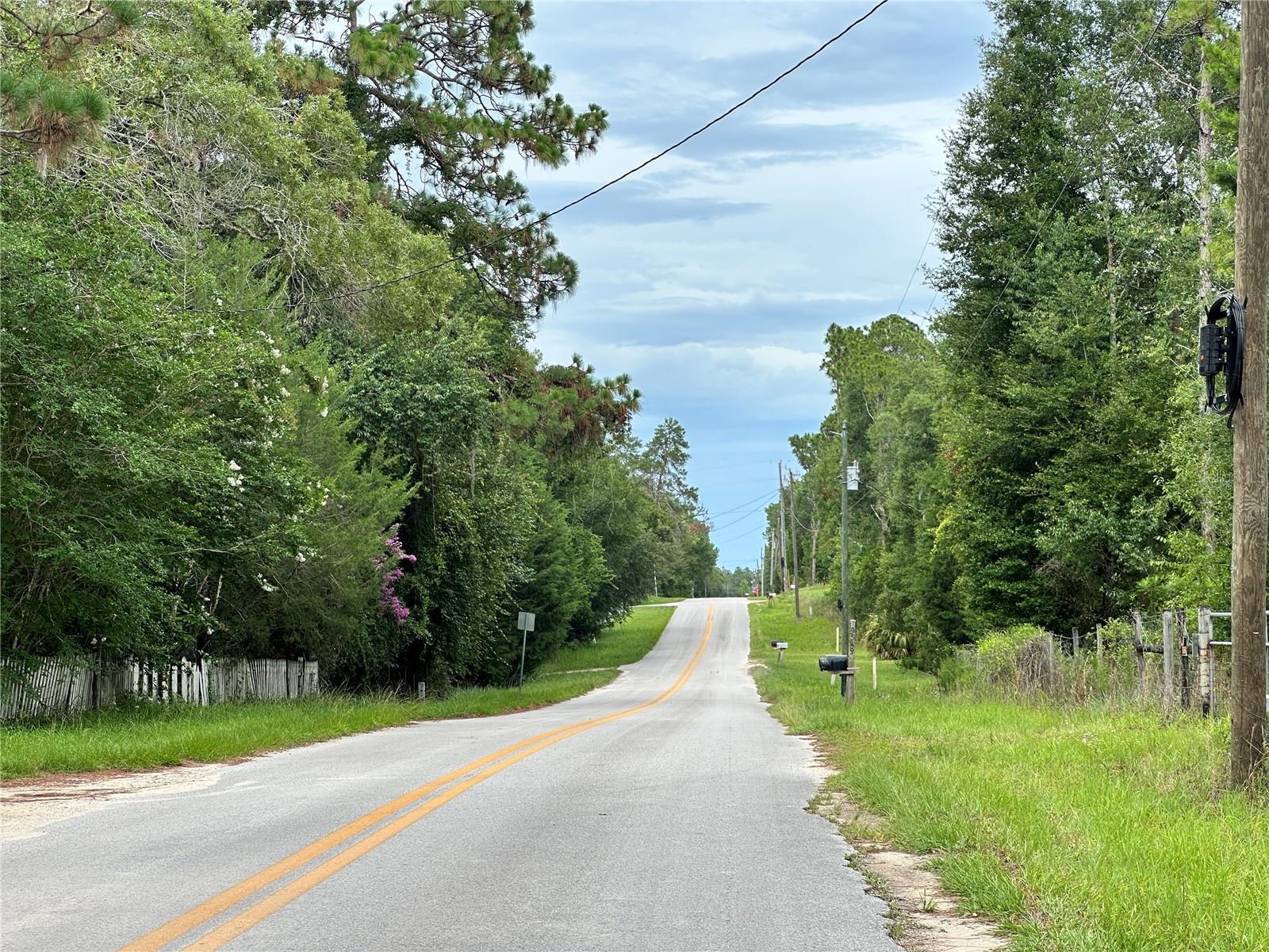 TBD NE 65TH LN, BRONSON, FL — photo 12