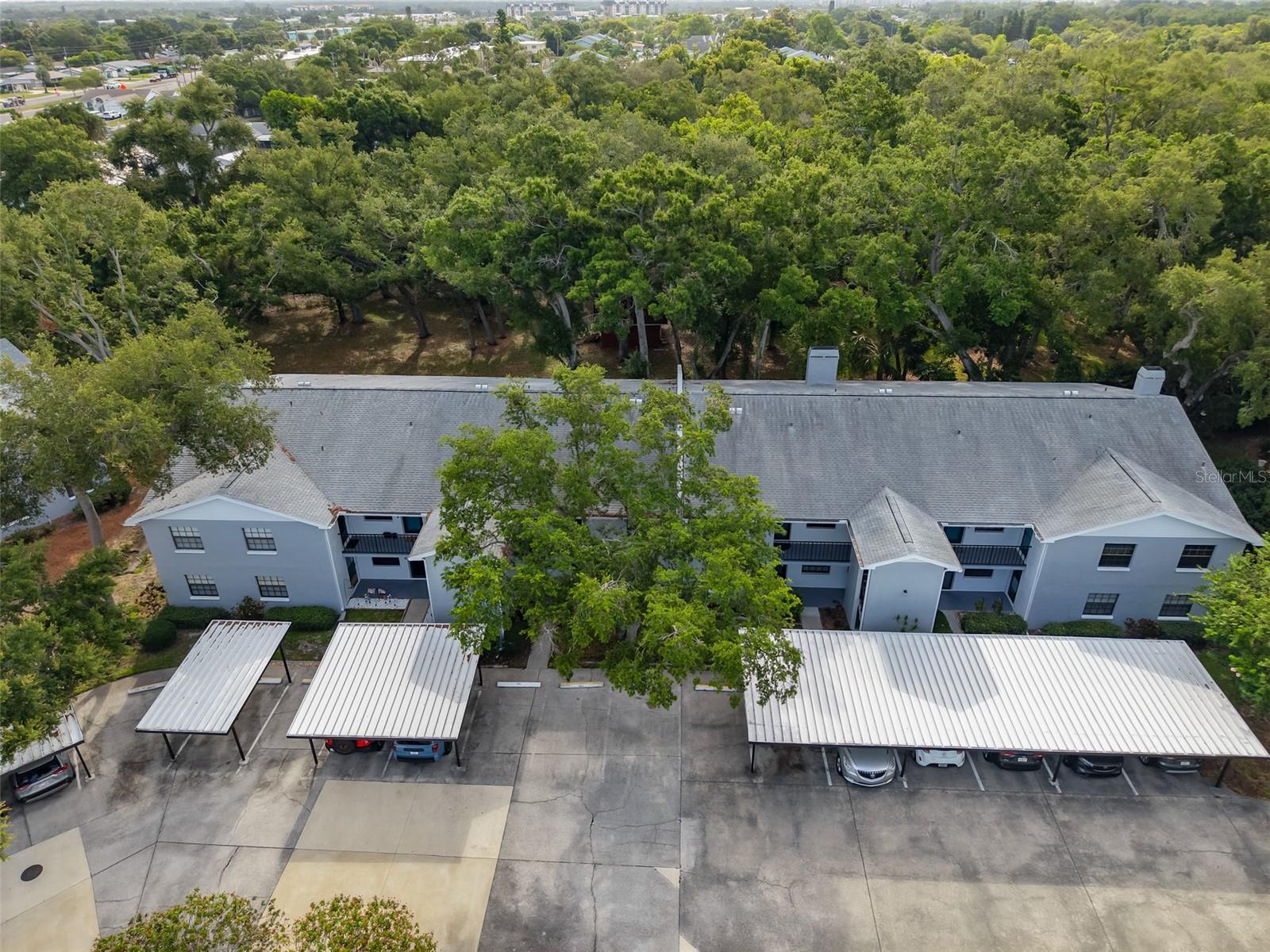 11800 PARK BLVD #308, SEMINOLE, FL — photo 29
