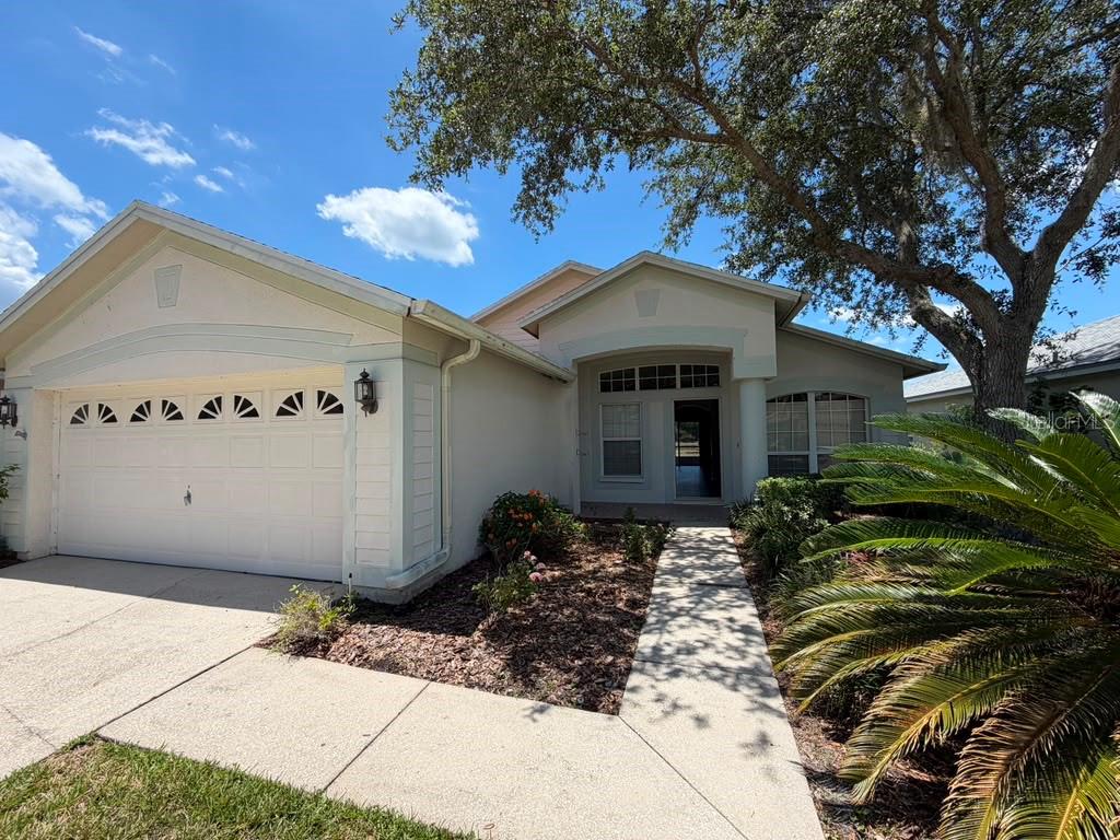 18014 ARBOR CREST DR, TAMPA, FL — photo 12