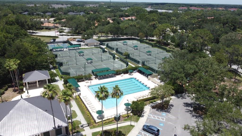 18014 ARBOR CREST DR, TAMPA, FL — photo 39